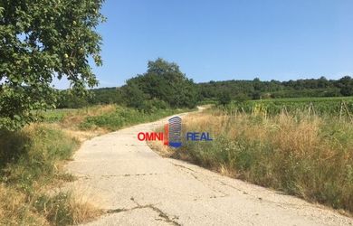 Neobrábaný vinohrad Svätý Jur, smerom na Bratislavu, lokalita motyćky - Drotáre - 789 m2