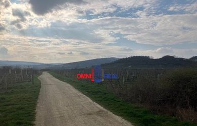 Pozemok o veľkosti 4085 m2 vo vinohradoch lokalita Grefty, šírka 15 m