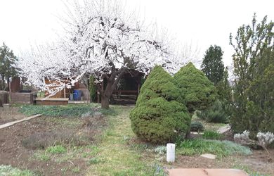 FOX * Predaj, záhradný pozemok 251 m2 Trnava, Nerudova ulica
