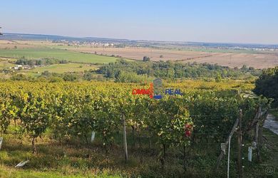 Pozemok 470 m2 v tvare trojuholníka - Pod Holerungovou Hôlkou, možno na stavbu niečoho nespojeného so zemou