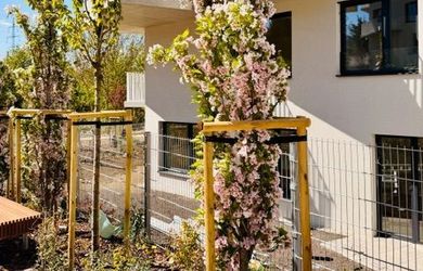 ČEREŠNE ETAPA RESIDENCE PREDAJ 2i BYTU_KOLAUDÁCIA 2026
