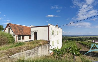 3-podlažný vínny domček s vinicou v obci Vinica, okr. V. Krtíš.