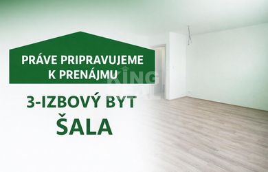 PRENÁJOM 3 - izbový byt po rekonštrukcii Šala- Veča