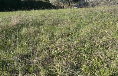 Nadštandardný pozemok 2 150 m² pod Malkovskou hôrkou