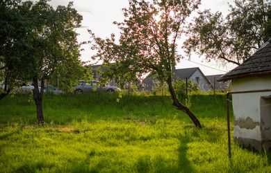 Pozemok 1505 m2 so starým domom v obci Sokolovce
