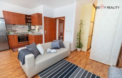 Na prenájom 1,5 izbový byt - BA - Podunajské  Biskupice - NOVOSTAVBA - 52 m2 - tehla, veľká  slnečná  lóggia - moderný, nápaditý .. IHNEĎ